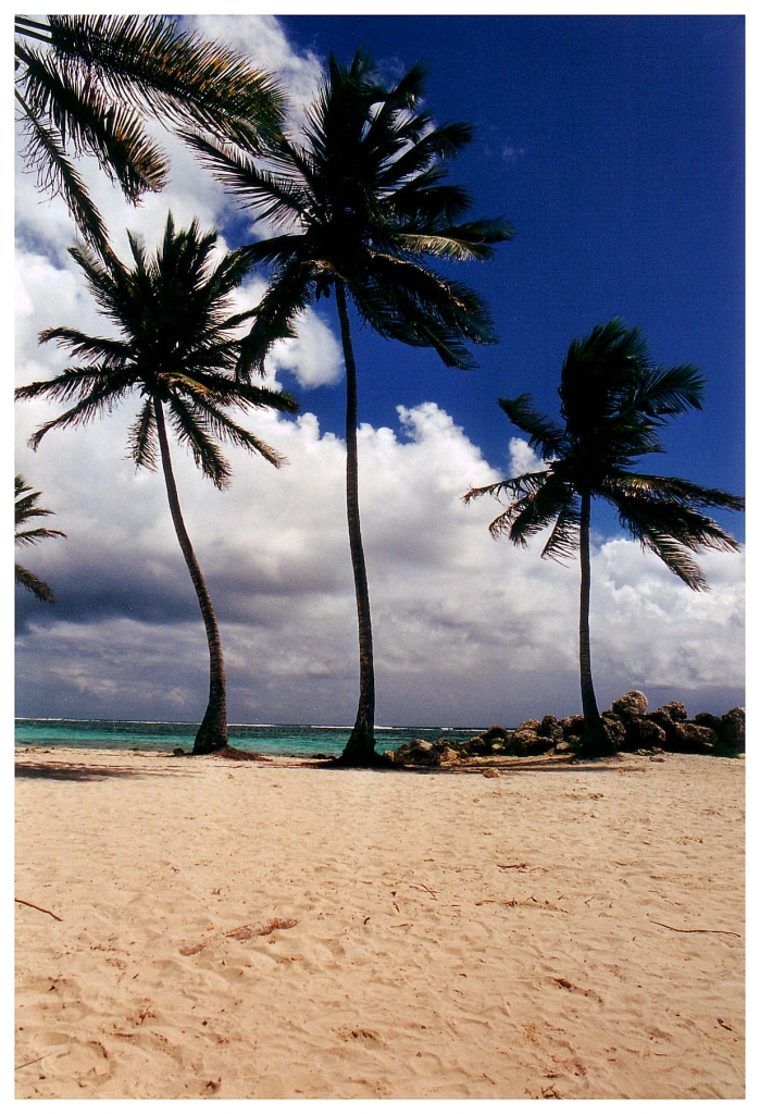 05 - Guadeloupe (26).jpg